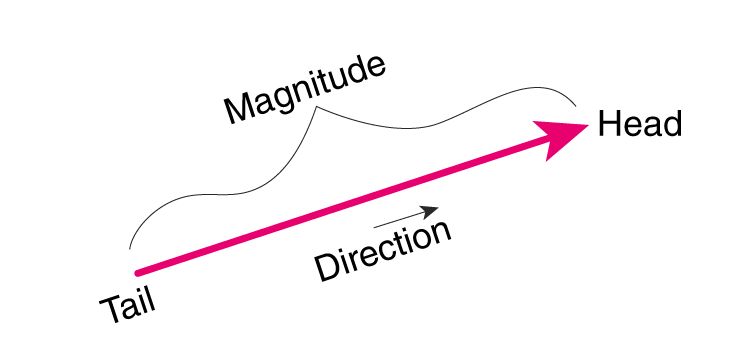 scalars and vectors
